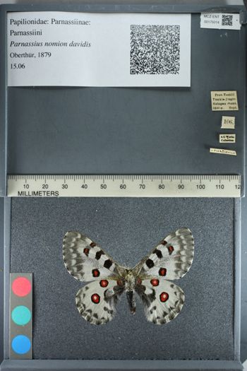 Media type: image;   Entomology 175014